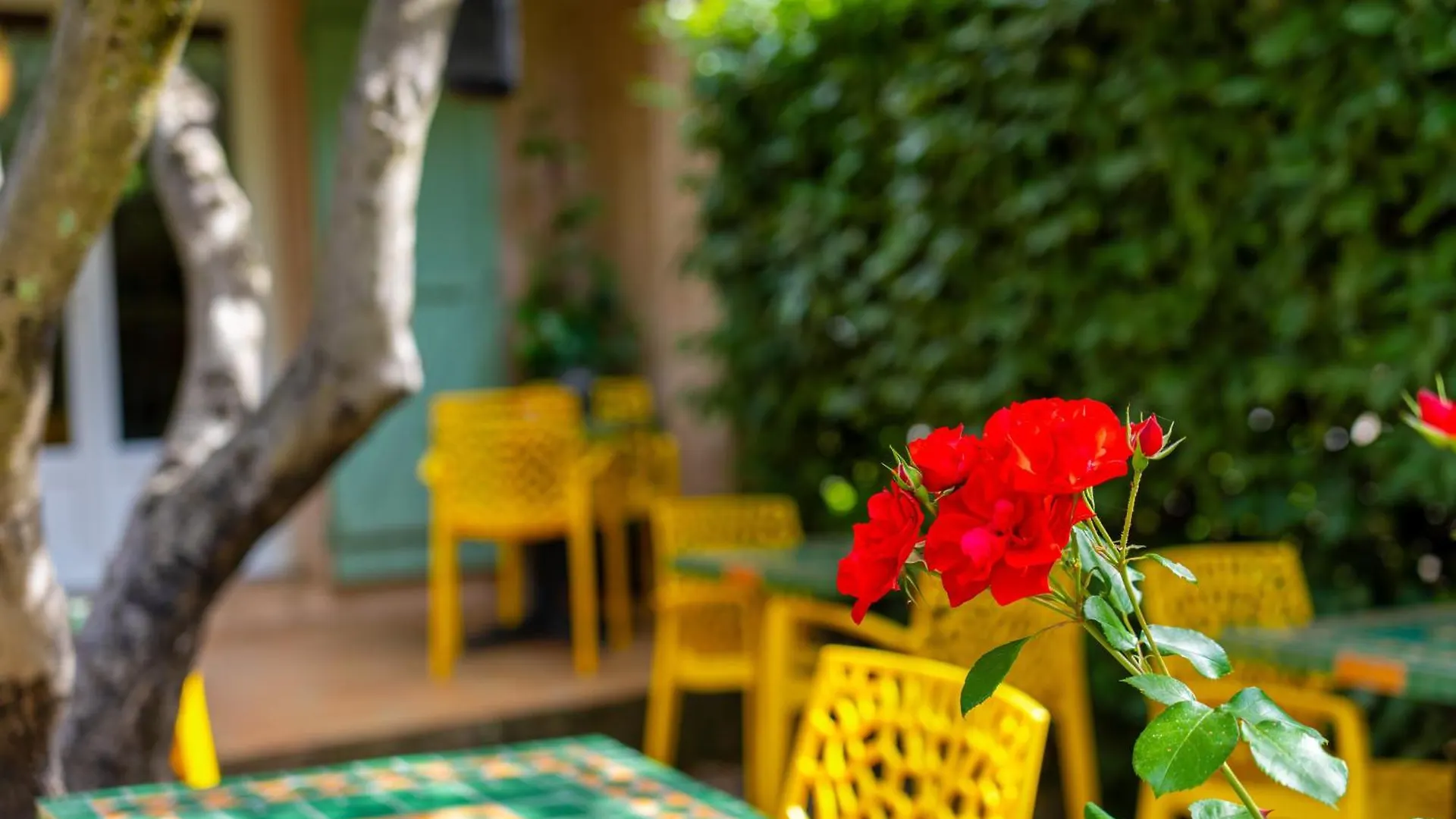 Hotel Les Oliviers Draguignan Frankrijk